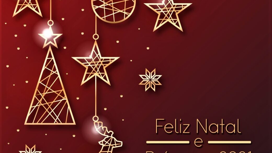 Que a paz, a saúde e o amor estejam presentes em todos os dias deste Natal e novo ano que se inicia!