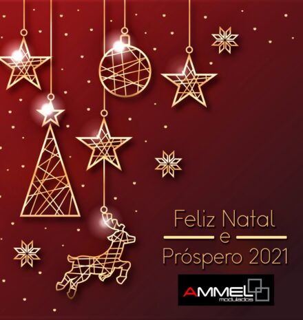 Que a paz, a saúde e o amor estejam presentes em todos os dias deste Natal e novo ano que se inicia!